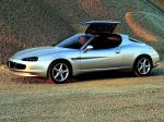 Daewoo Bucrane Concept 1995 года